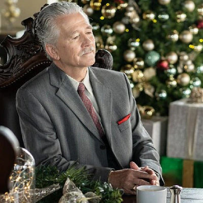 patrick_duffy-random_acts_of_christmas